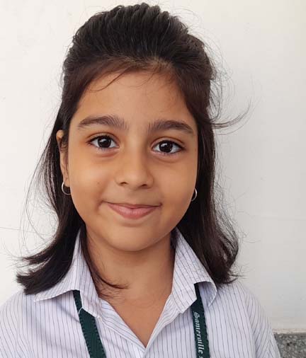 Somerville School - Best School In Greater Noida
