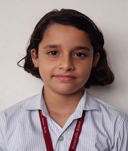 Somerville School - Best School In Greater Noida