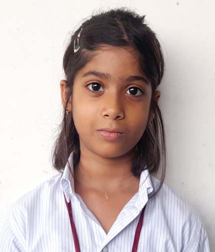 Somerville School - Best School In Greater Noida