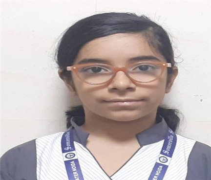 Somerville School - Best School In Greater Noida