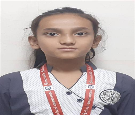 Somerville School - Best School In Greater Noida