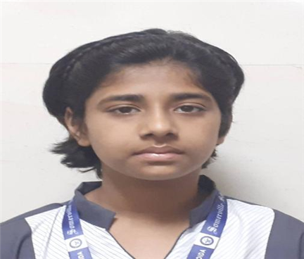 Somerville School - Best School In Greater Noida