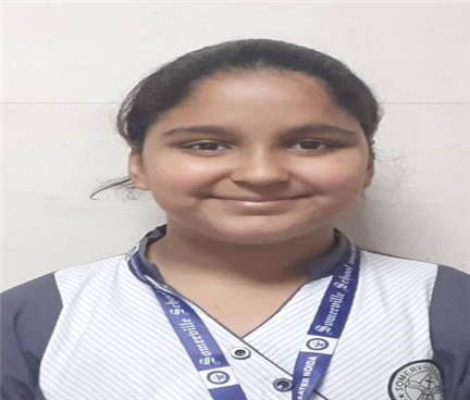 Somerville School - Best School In Greater Noida