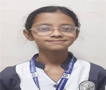 Somerville School - Best School In Greater Noida