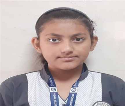 Somerville School - Best School In Greater Noida