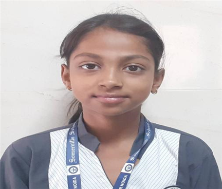 Somerville School - Best School In Greater Noida
