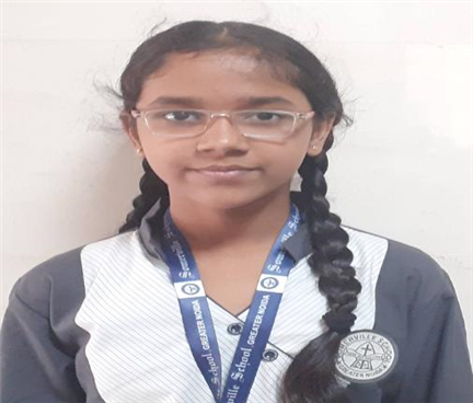 Somerville School - Best School In Greater Noida