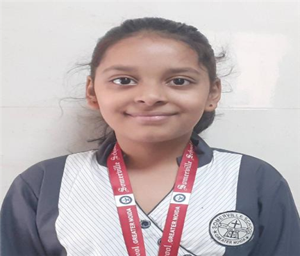 Somerville School - Best School In Greater Noida