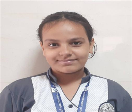 Somerville School - Best School In Greater Noida