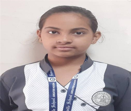 Somerville School - Best School In Greater Noida