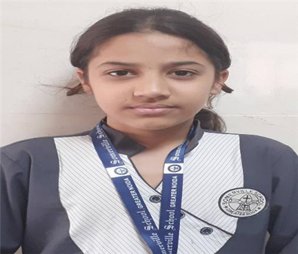 Somerville School - Best School In Greater Noida