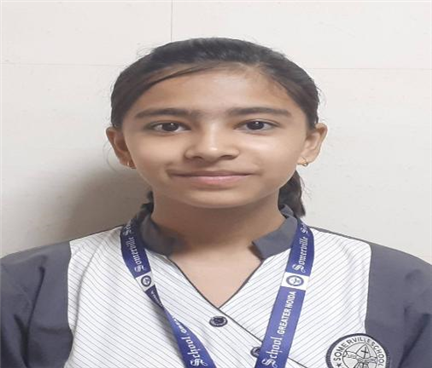 Somerville School - Best School In Greater Noida