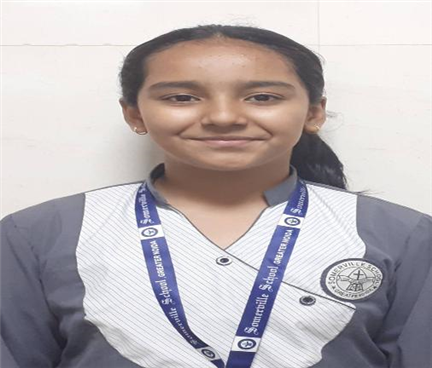 Somerville School - Best School In Greater Noida