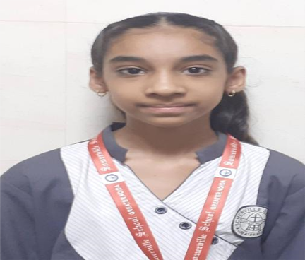 Somerville School - Best School In Greater Noida