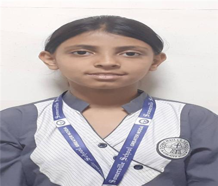 Somerville School - Best School In Greater Noida