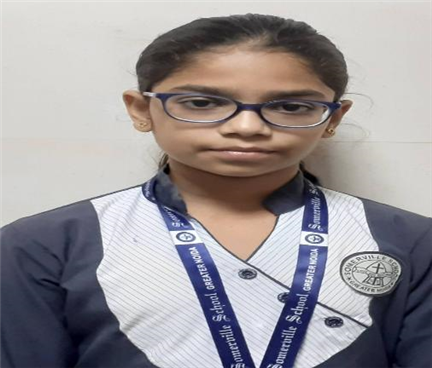 Somerville School - Best School In Greater Noida