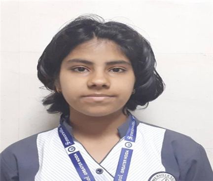 Somerville School - Best School In Greater Noida