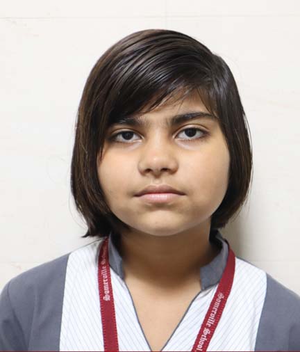 Somerville School - Best School In Greater Noida