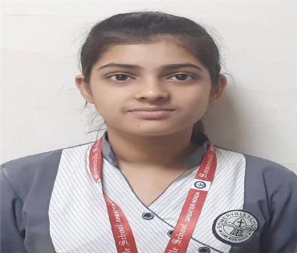 Somerville School - Best School In Greater Noida