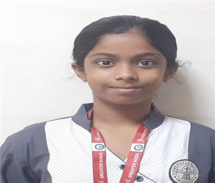 Somerville School - Best School In Greater Noida
