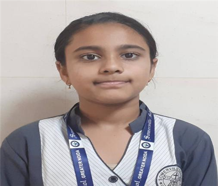 Somerville School - Best School In Greater Noida