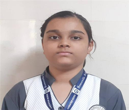Somerville School - Best School In Greater Noida