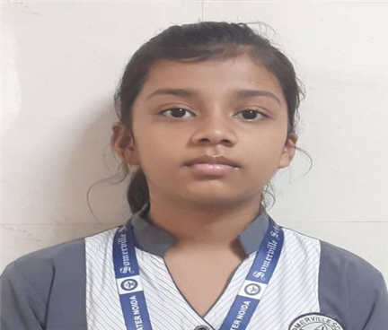 Somerville School - Best School In Greater Noida