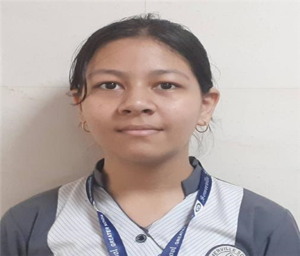 Somerville School - Best School In Greater Noida