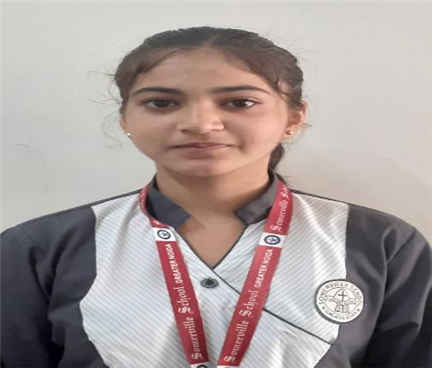 Somerville School - Best School In Greater Noida