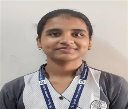 Somerville School - Best School In Greater Noida