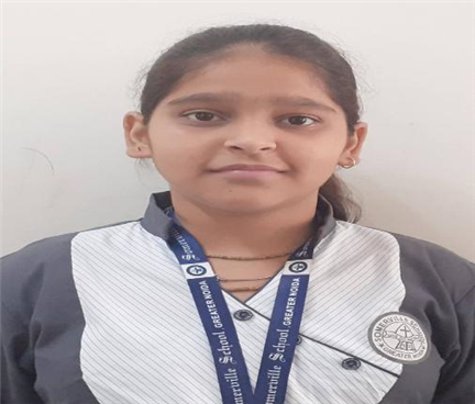 Somerville School - Best School In Greater Noida