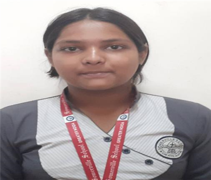 Somerville School - Best School In Greater Noida