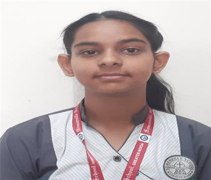 Somerville School - Best School In Greater Noida