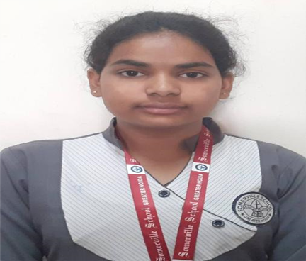 Somerville School - Best School In Greater Noida