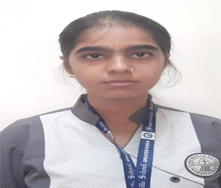 Somerville School - Best School In Greater Noida