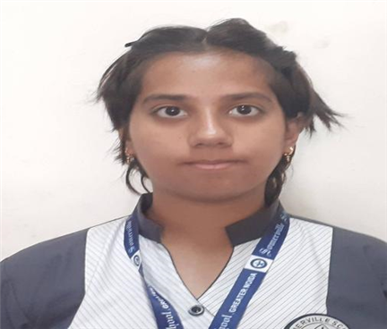 Somerville School - Best School In Greater Noida