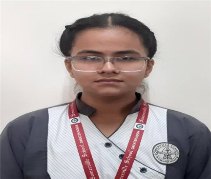 Somerville School - Best School In Greater Noida
