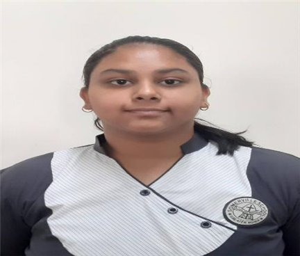 Somerville School - Best School In Greater Noida