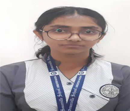 Somerville School - Best School In Greater Noida