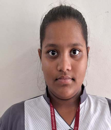 Somerville School - Best School In Greater Noida