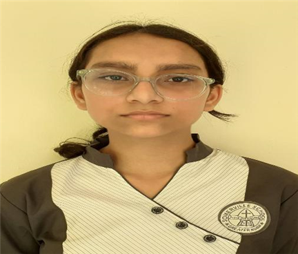 Somerville School - Best School In Greater Noida