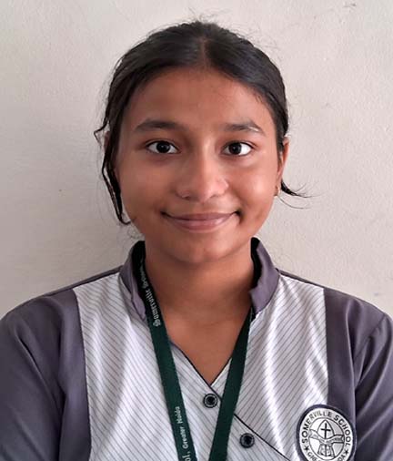 Somerville School - Best School In Greater Noida