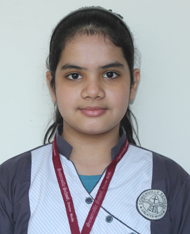 Somerville School - Best School In Greater Noida