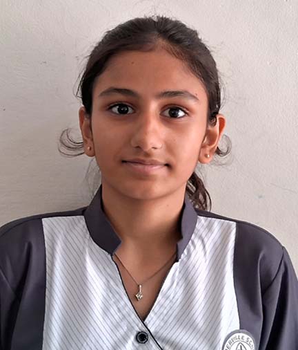 Somerville School - Best School In Greater Noida