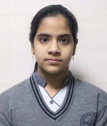 Somerville School - Best School In Greater Noida