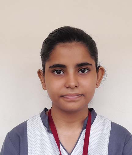 Somerville School - Best School In Greater Noida