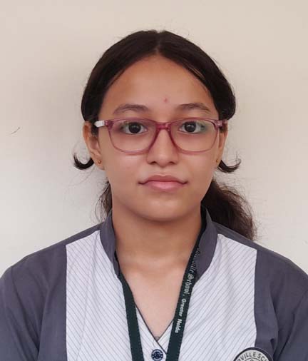 Somerville School - Best School In Greater Noida