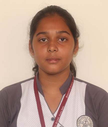 Somerville School - Best School In Greater Noida