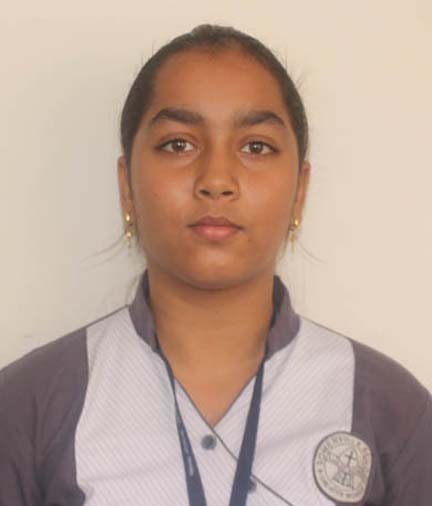 Somerville School - Best School In Greater Noida