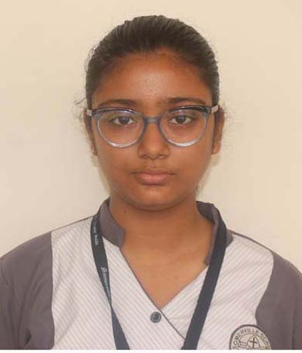 Somerville School - Best School In Greater Noida